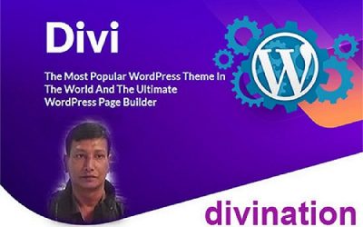 Build or customize a website using the DIVI theme.
